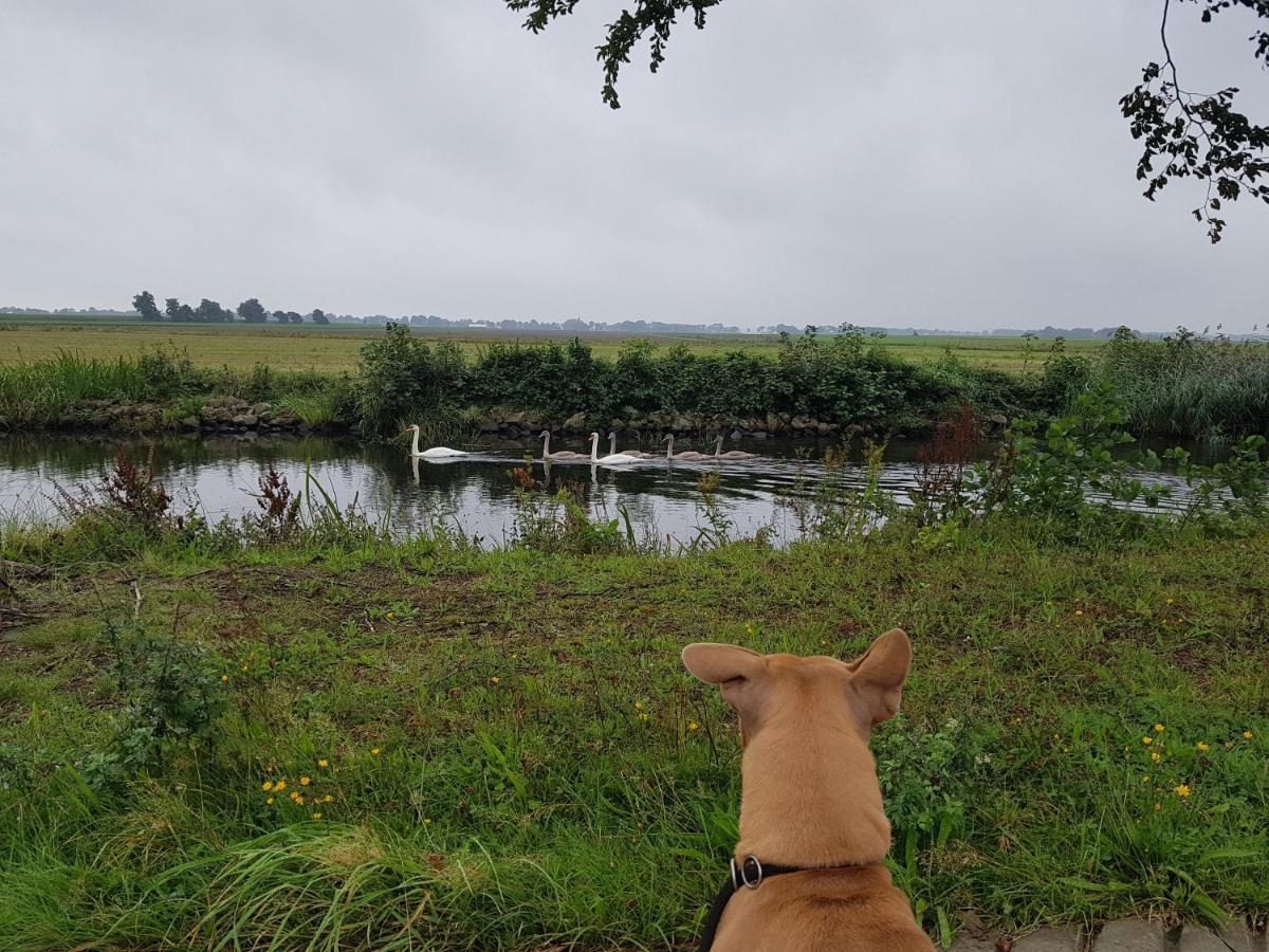 Drenths Landgoed, Welkom Thuis Annerveenschekanaal ภายนอก รูปภาพ